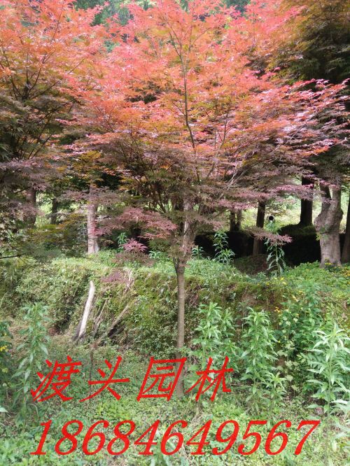 img_20160522_090943.jpg