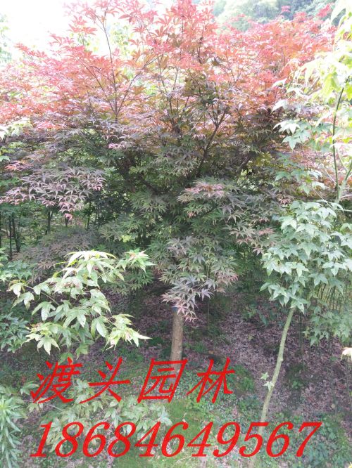 img_20160522_091149.jpg