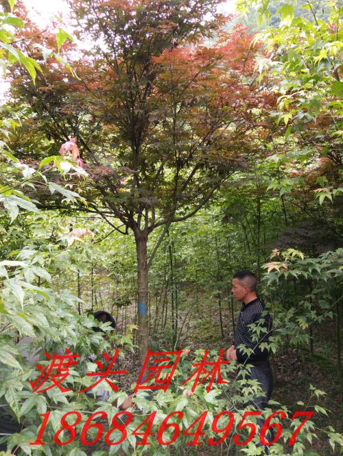 img_20160522_091240.jpg