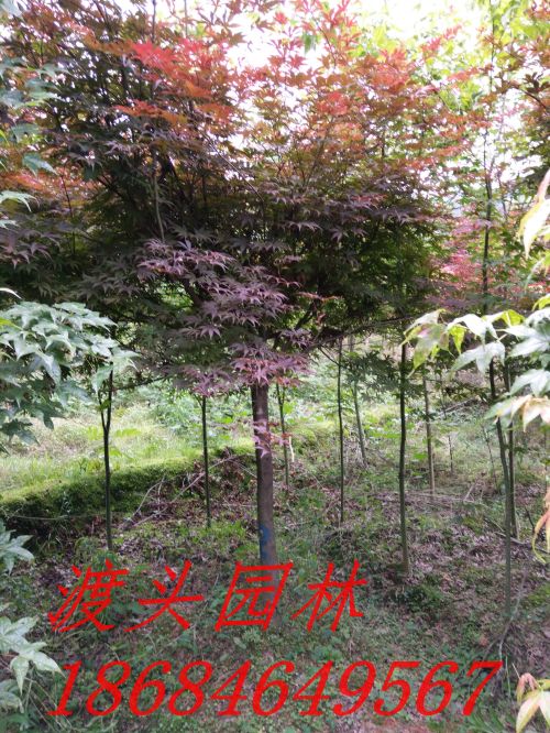 img_20160522_091243.jpg