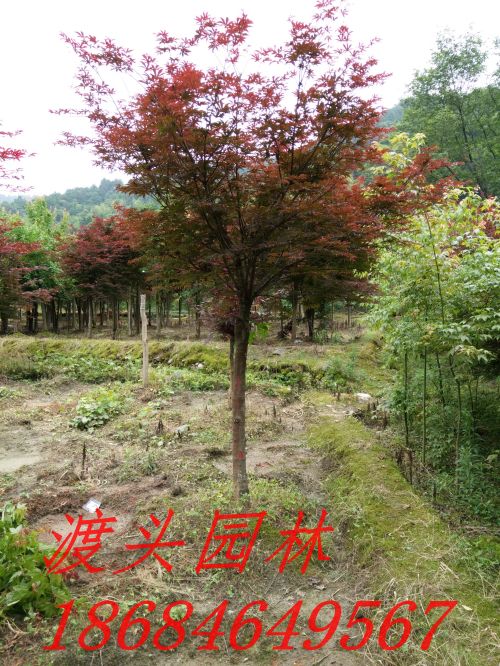 img_20160522_091419.jpg