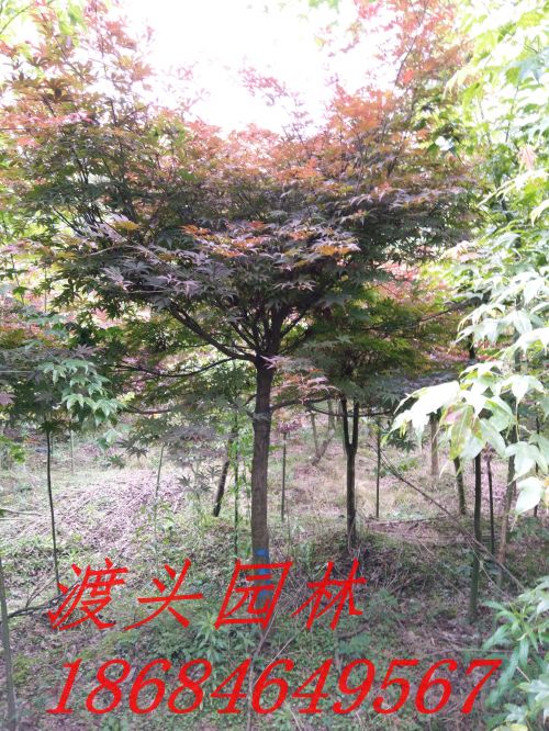 img_20160522_091248.jpg