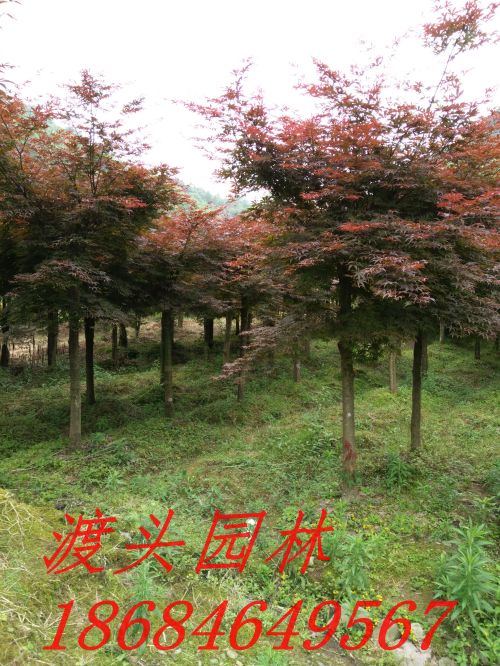 img_20160522_091441.jpg